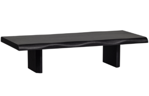 Hoorns Černý mangový konferenční stolek Colenea 120 x 55 cm